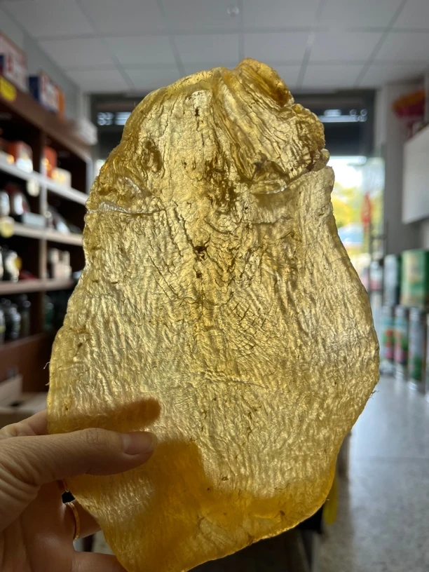 斗湖鱼胶单个精品185克