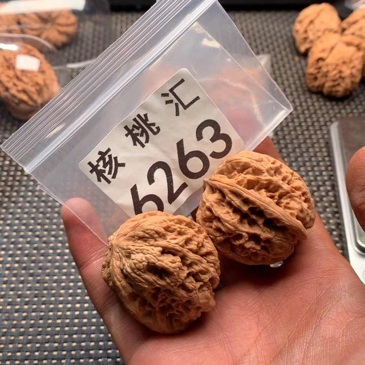 叨****文玩核桃吊坠将军