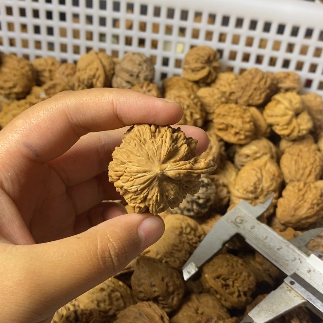 大***闪大叶紫檀（黑酸枝木类）