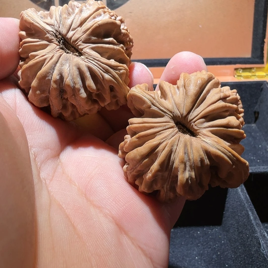 文玩核桃把件平谷楼