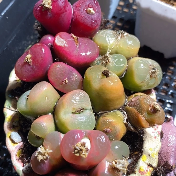 12269有伤一组一组