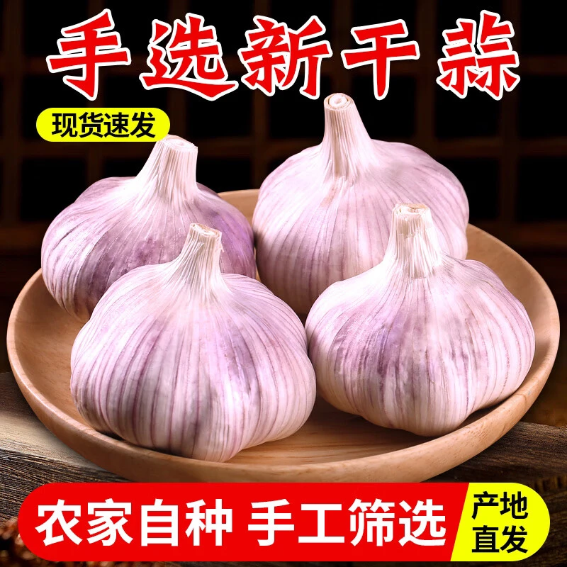 （农家土蒜）新干蒜产地直发大蒜紫白皮干大蒜头茬蒜1斤3斤5斤9斤