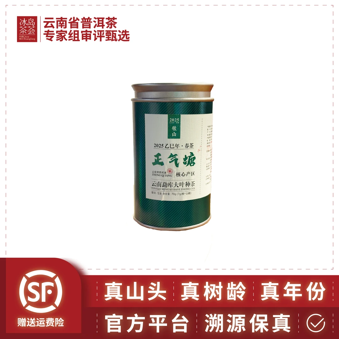 【新粉必拍款】被称为（小冰岛的）正气塘·2025年·古树春茶·龙珠