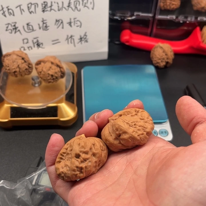 核桃36一帆风顺一根筋