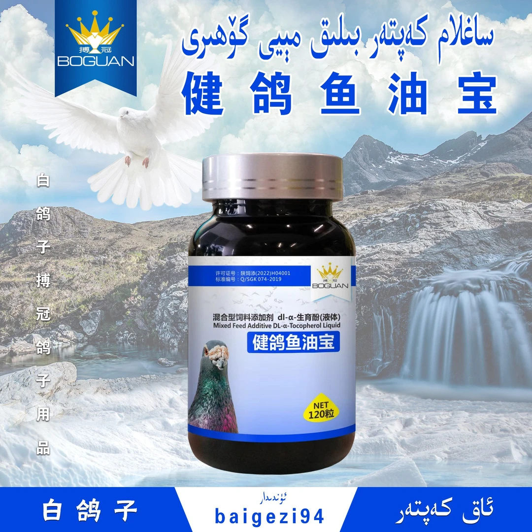 白鸽子搏冠健鸽鱼油宝 saglamkaptar belikmeyi gohiri【新疆包邮】