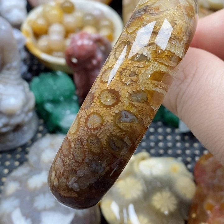 硅化珊瑚（珊瑚玉）颈饰未镶嵌56有瑕