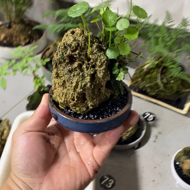 拾***漫完全开放退款拉黑一物一拍322