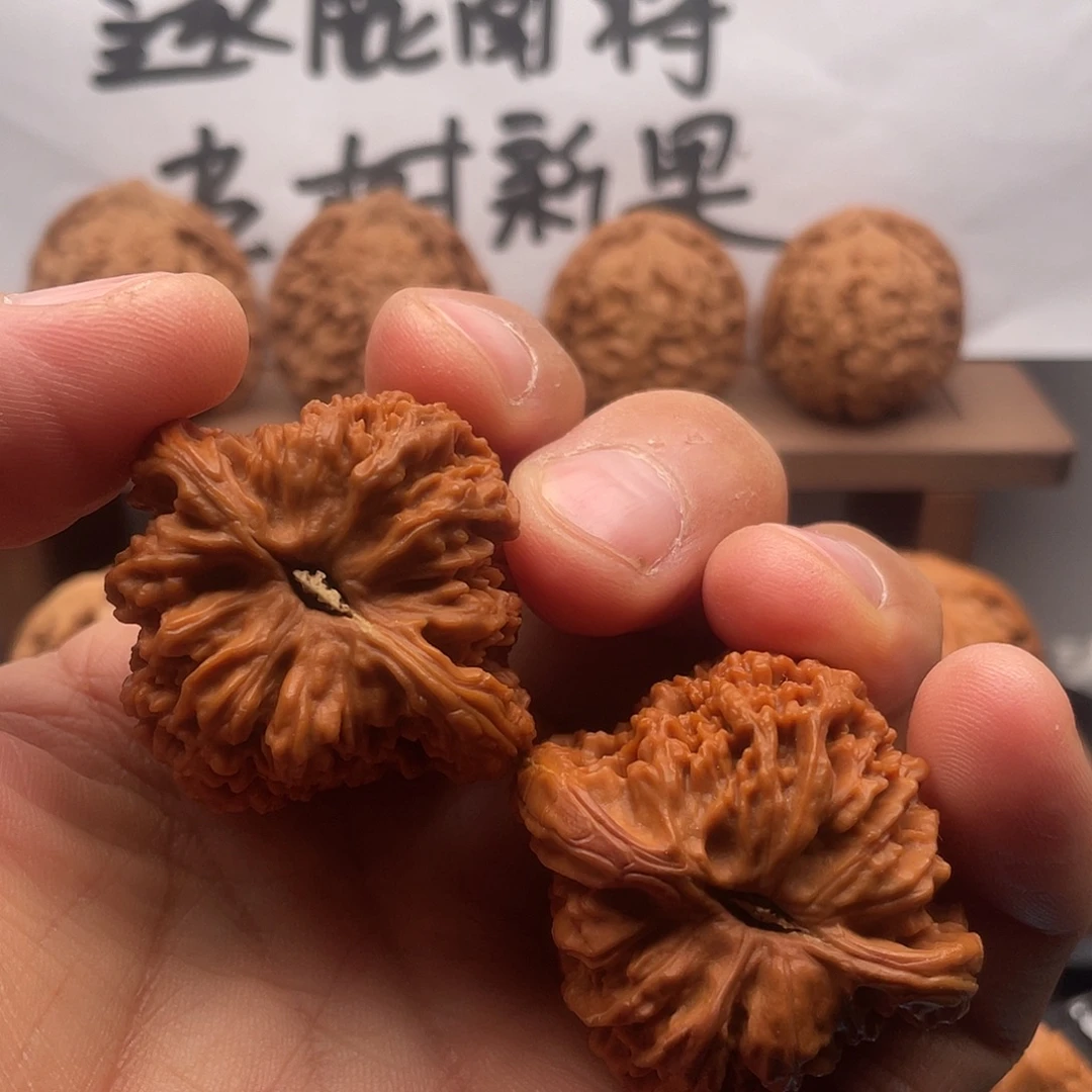 成***王吊坠桃核南疆的43/42/41全品无修无黄
