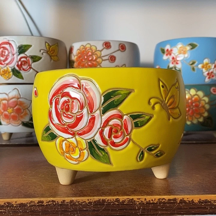 韩式多肉植物花盆