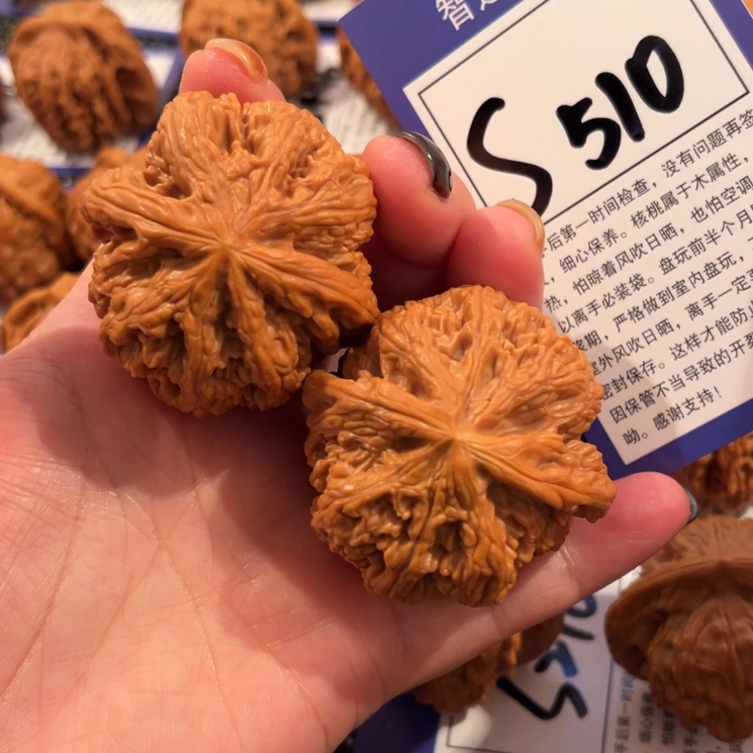 核桃S510号粗筋46尺