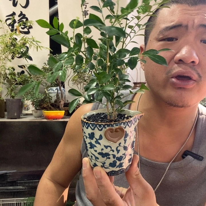 无花朵退款拉黑拉黑71