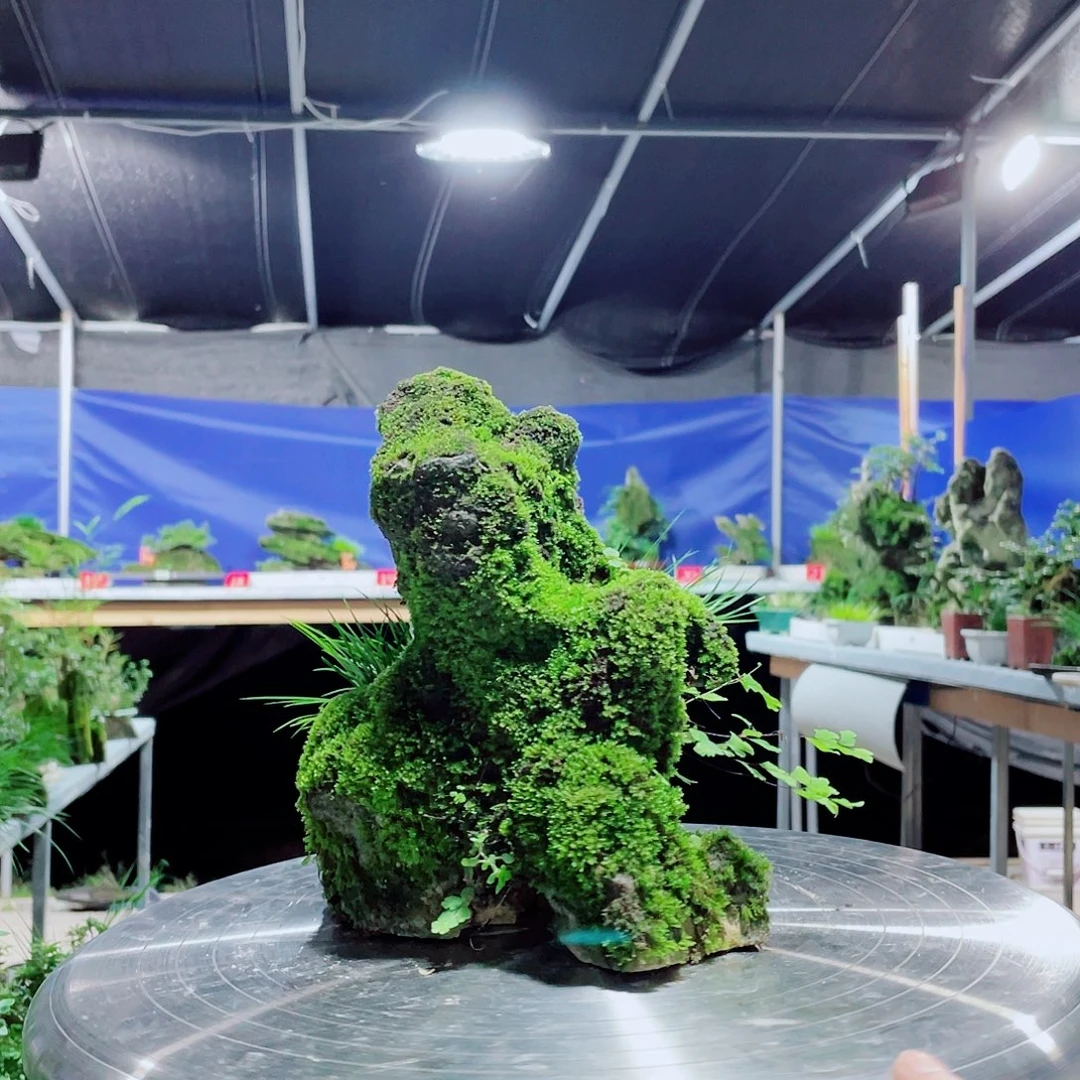 用***8无花朵新品的包装真的好好用