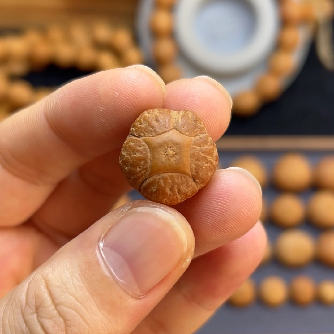 手串凤眼菩提18.9五星上将