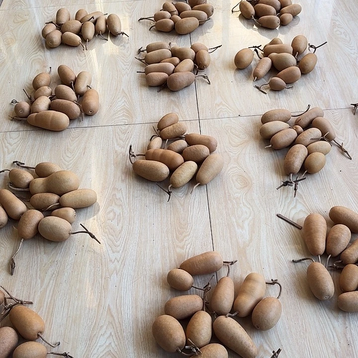 葫芦冬瓜专属链接