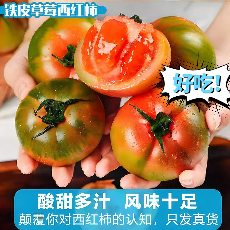 【净重5斤装】铁皮草莓柿子新鲜水果西红柿酸甜爽口