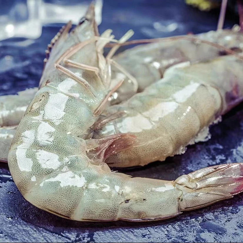 渔嫂家 20/30规格大号对虾 活体速冻海虾到手一盒/3斤