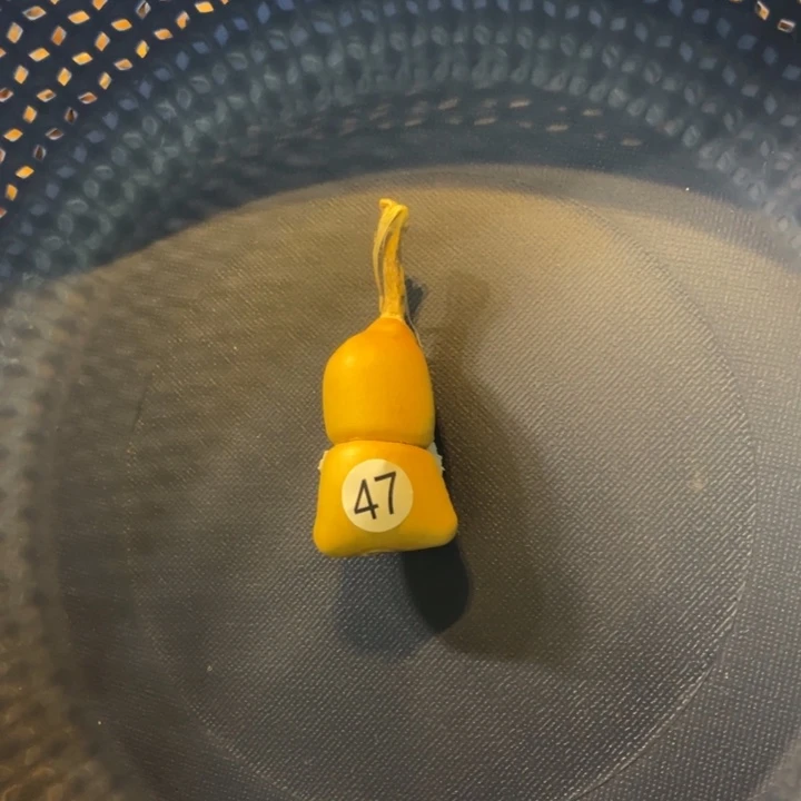 默认微瑕不保龙头