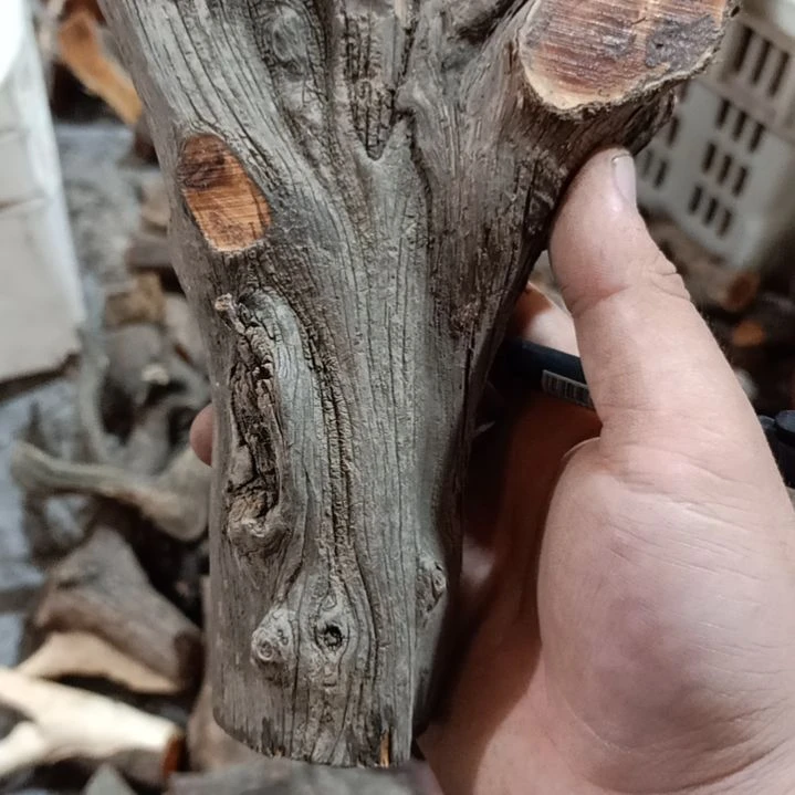 *****大果紫檀（缅甸花梨）