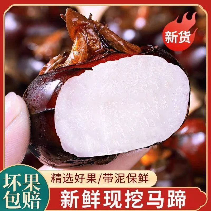 湖北特产新鲜现挖应季马蹄荸荠农家自种果蔬