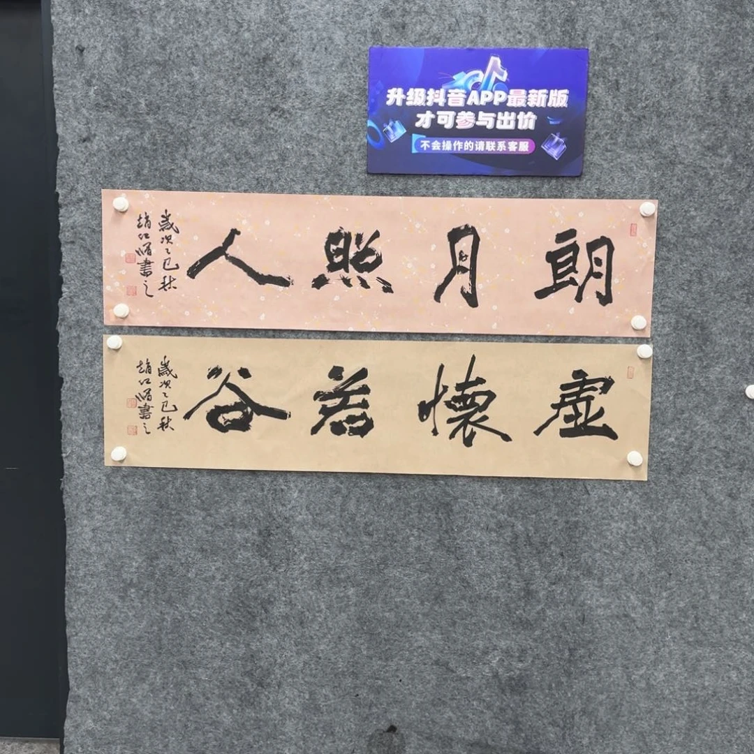 书法书法ZHX老师作品