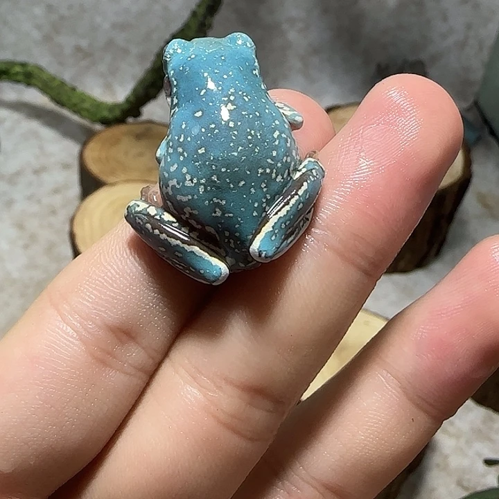 老爷树蛙2 魔鬼蓝大白腿小暴雪