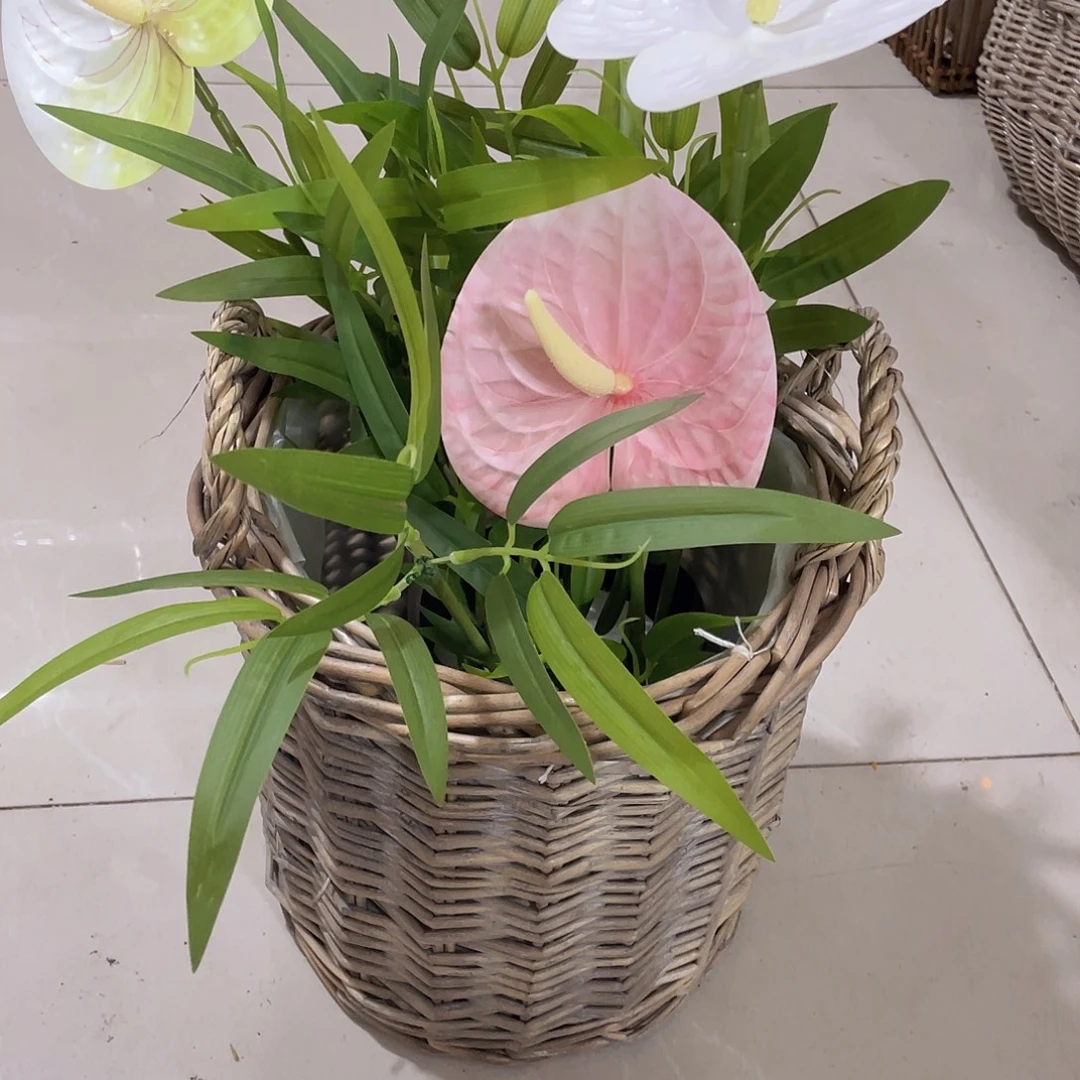 直播专属孤品微瑕链接562