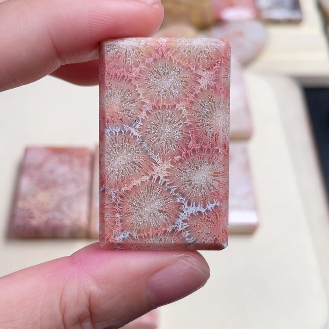 【闪购商品】未镶嵌手串硅化玉苞*