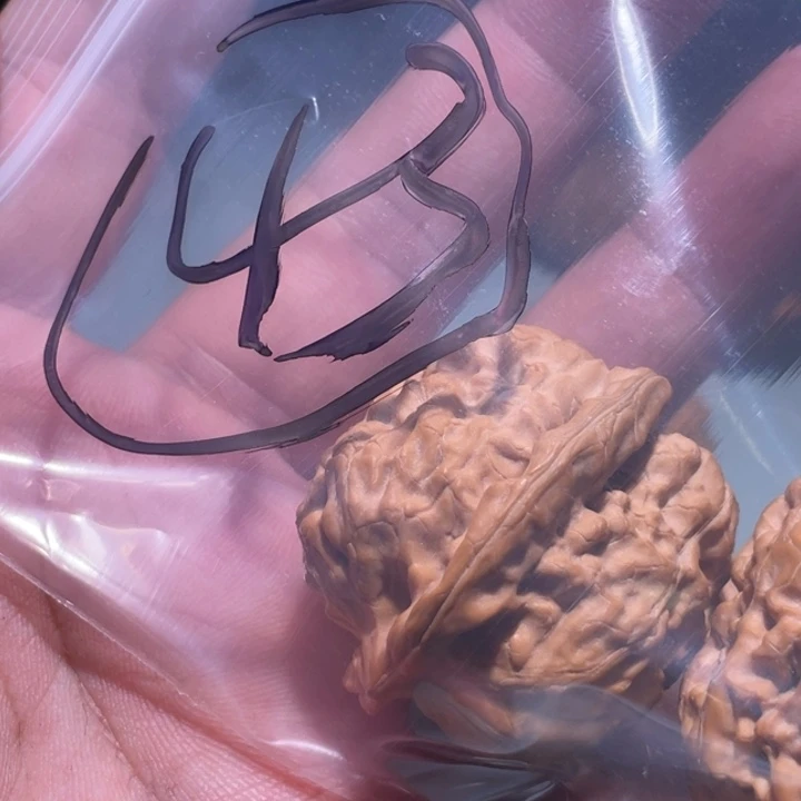 文玩核桃吊坠淡**生43呃呃呃