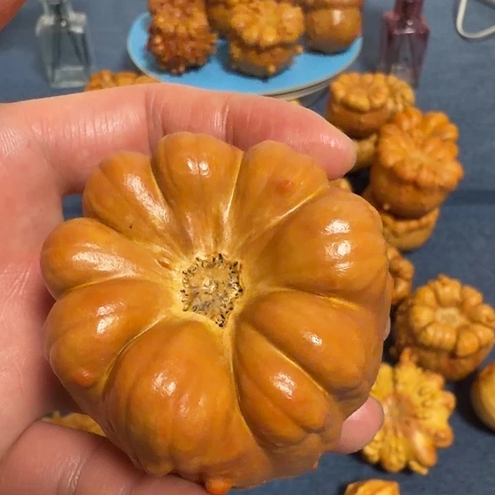 Y***Y墨西哥七彩疙瘩葫芦