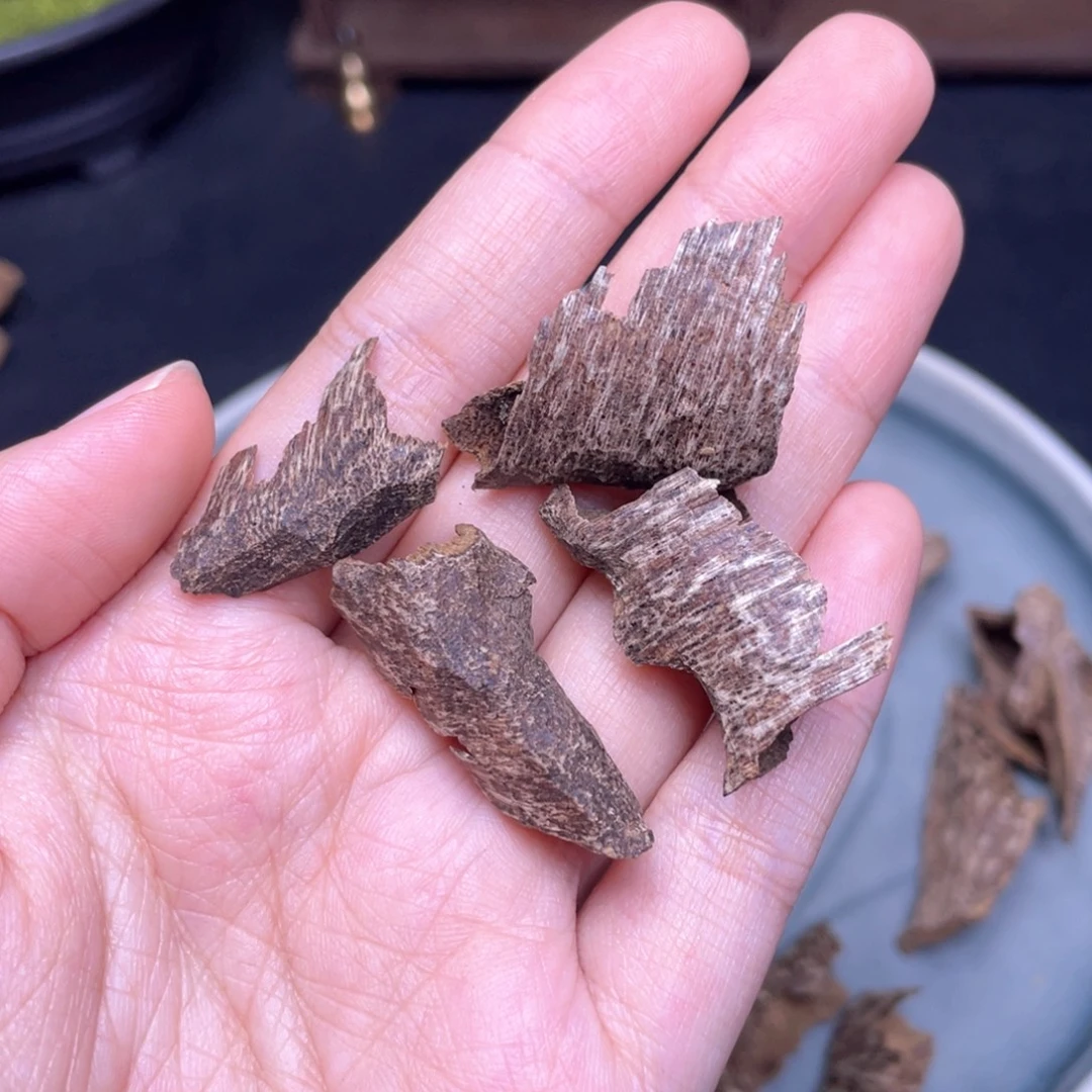 1.7克海南尖峰沉水鸡母虫漏