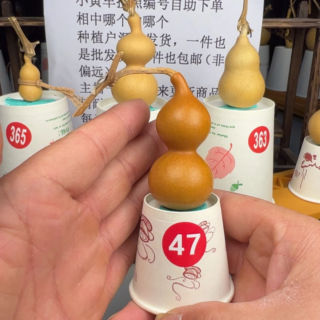 闪电购自助下单编号47