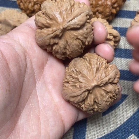 吊坠文玩核桃霸王龙