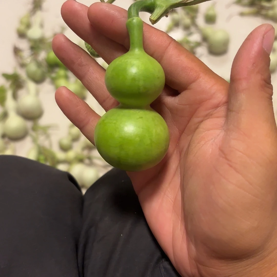 业***手葫芦1111111111111111