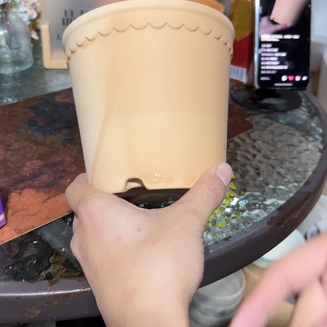 渐变花边14口13高一个