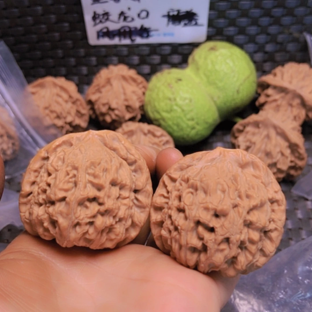 【闪购商品】核桃摆件42水龙纹有修