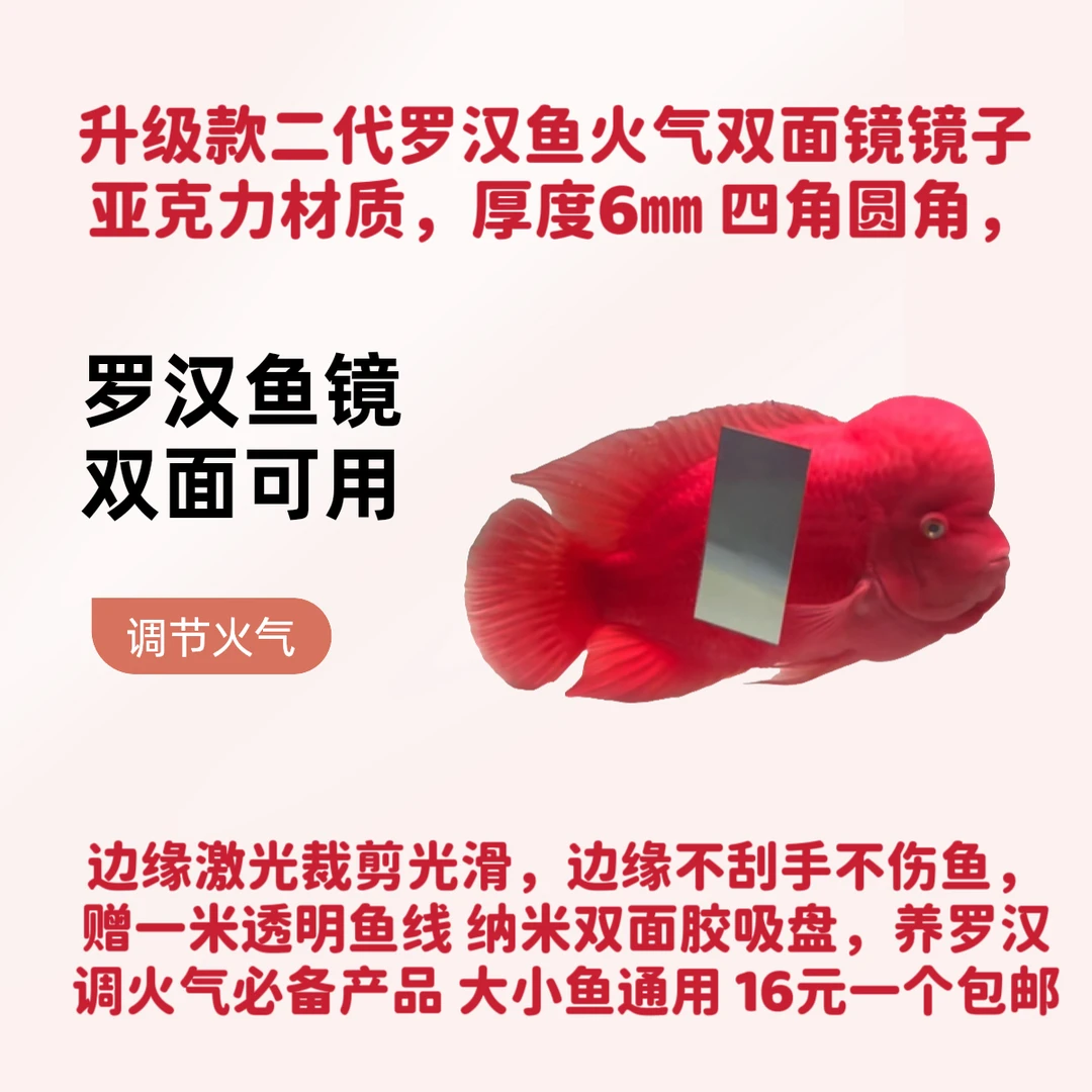 罗汉鱼火气镜 双面镜 调节火气 增头