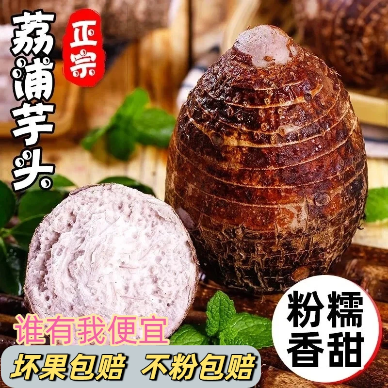 【荔浦芋头】新鲜现挖广西荔浦芋头当季时蔬香芋芋头大芋头粉糯香甜