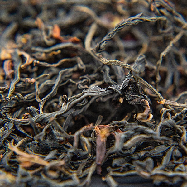 【紫芽红茶】2023年春红茶1月24日【14号】