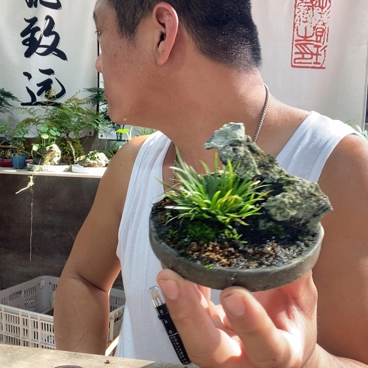 是****无花朵退款拉黑拉黑79