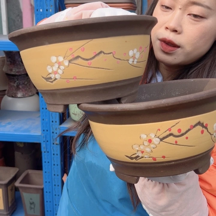 黄富贵点菜中一对花盆