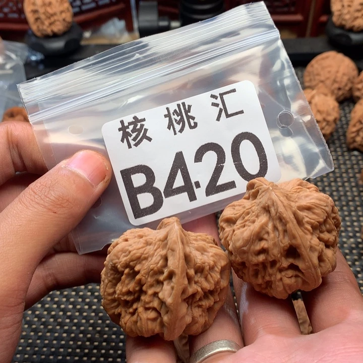 吊坠文玩核桃金蝉王