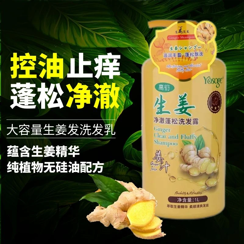 香港正品高衍生姜洗发水1L发控油蓬松老姜汁头皮护理洗发露止痒