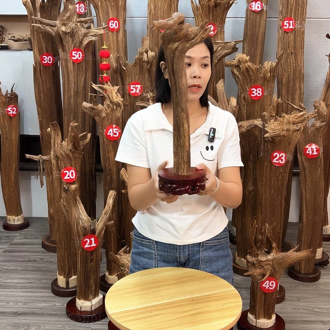 沉香沉香碎屑沉香