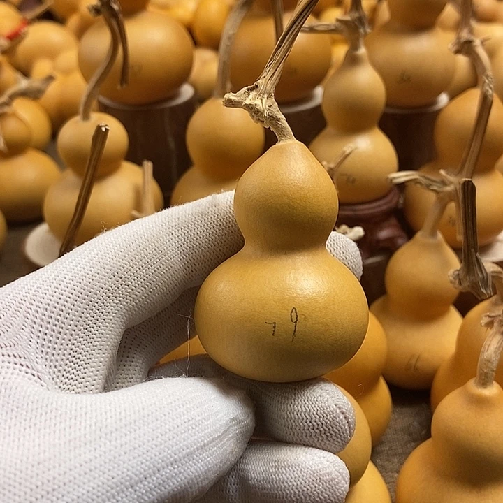 文玩葫芦 完美主义者 慎拍79