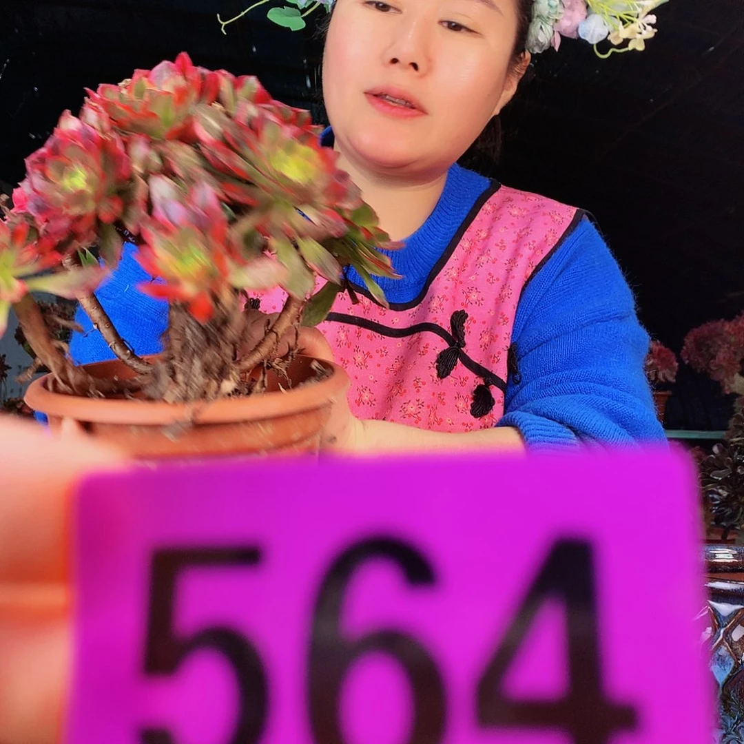 ssssssssssssssssssss564