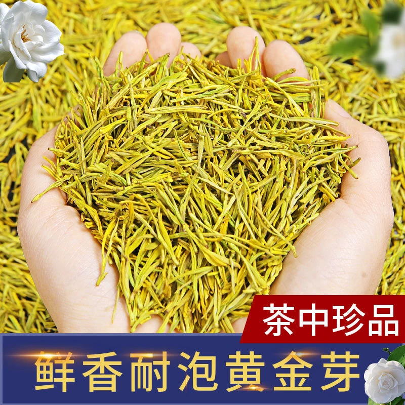 明前春茶高档嫩芽高山绿茶黄金芽礼品上等黄金芽茶叶明前茶新茶叶