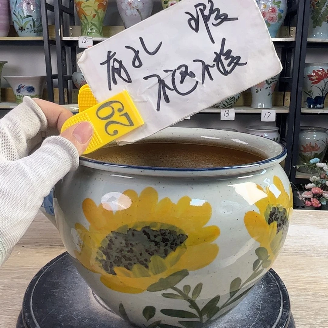 罐1tc景德镇陶瓷花盆