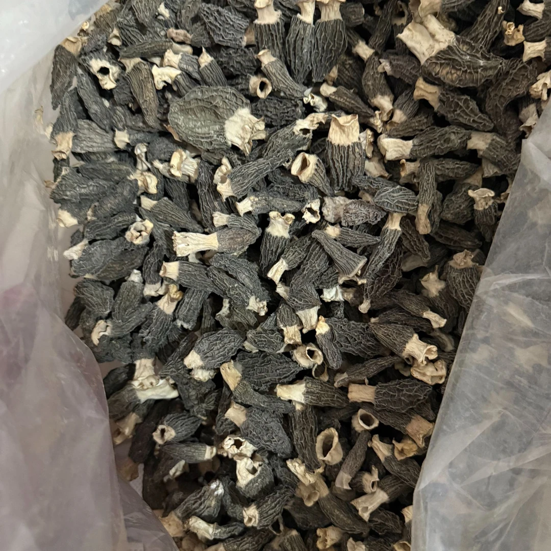 25年头茬干货羊肚菌（3-5）自吃正宗羊肚菌干货推荐