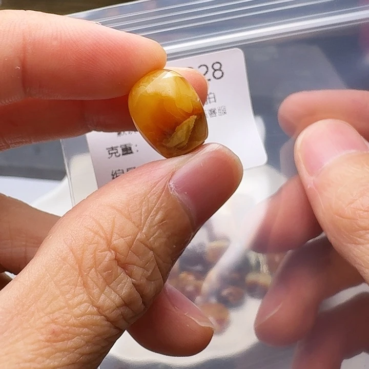裸石琥珀未镶嵌琥珀