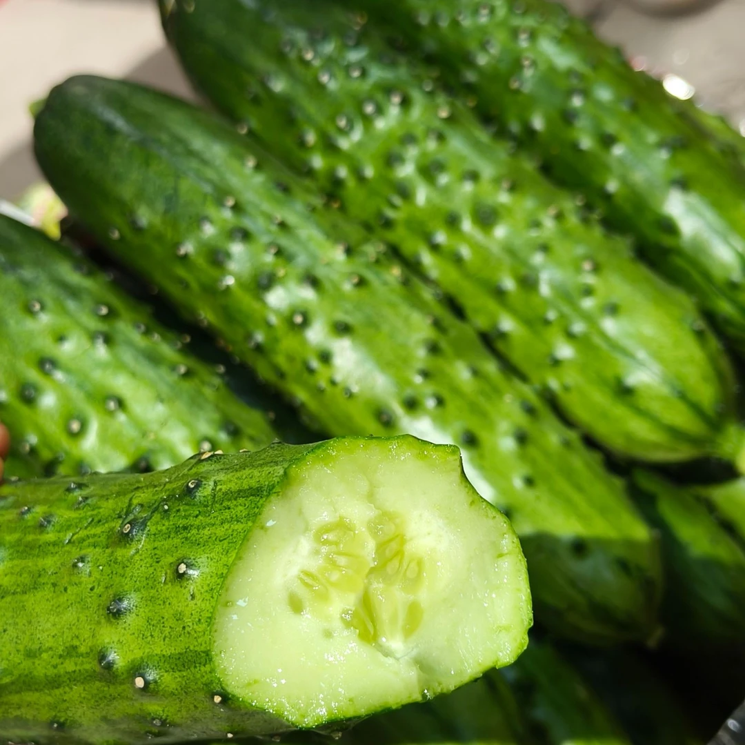 【鲜果速送】旱黄瓜水果黄瓜一袋3斤左右黄瓜同城送黄瓜同城配